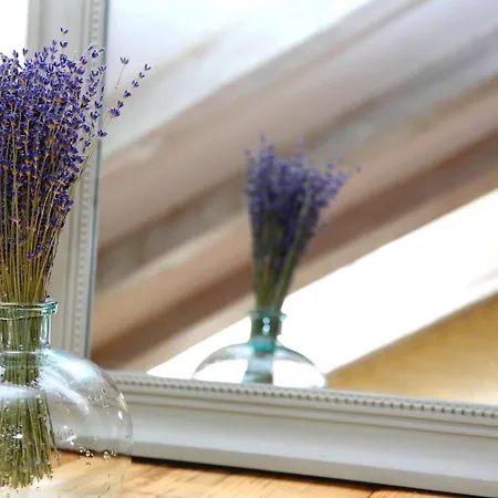 Grand Duplex - Les Hydrangeas Apartamento Ribeauvillé
