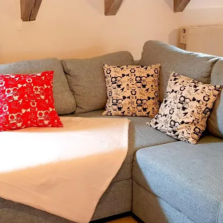 Grand Duplex - Les Hydrangeas Apartamento Ribeauvillé