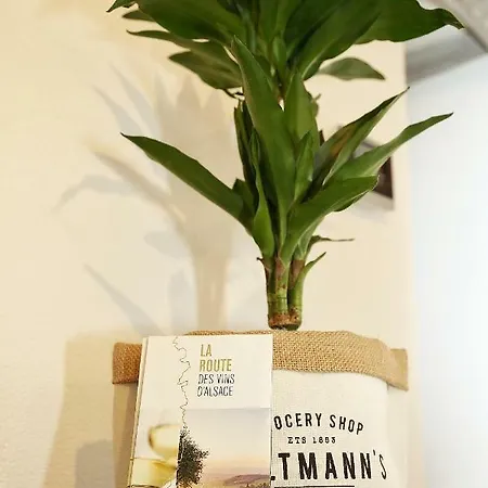 Apartamento Grand Duplex - Les Hydrangeas Ribeauvillé